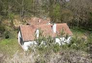 NEUER PREIS! IDYLLISCHE ALLEINLAGE IM NATURSCHUTZGEBIET