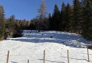Idyllisches Freizeitgrundstück in Innerkrems: 919m² für Ihre Traum-Almhütte