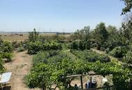 Familienparadies mit Selbstversorger-Garten | 170 m² Wohnfläche auf 1.100 m² Grund