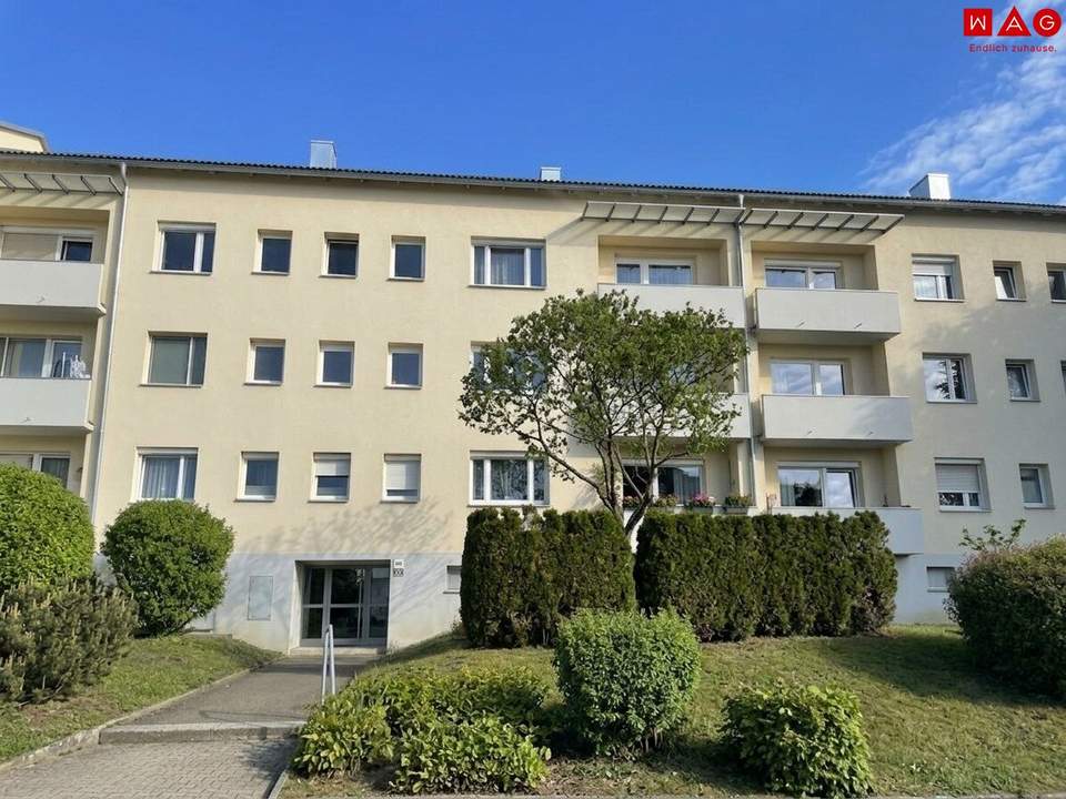 ERSTBEZUG nach Sanierung- Wohnung am südseitigen Sonnenhang!