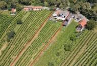 Ehemaliger Gastronomiebetrieb mit Möglichkeit zum Hauptwohnsitz in den Weinbergen!