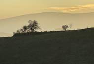 IN SLOWENIEN - Weingut in spektakulärer Alleinlage mit traumhafter Aussicht!