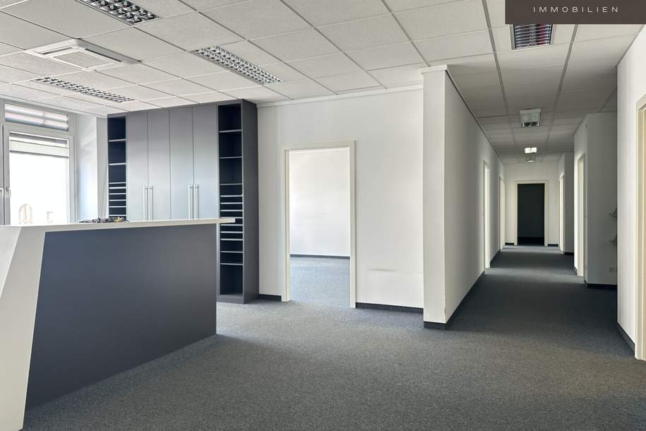 + + + helles, gekühltes Büro + + + Westeinfahrt + + + KEINE KAUTION + + +, Gewerbeobjekt-miete, 3.716,24,€, 1130 Wien 13., Hietzing
