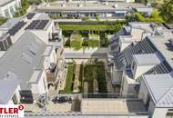 Sommer über den Dächern: Hochwertige Neubau-Dachterrassenwohnung - Provisionsfrei