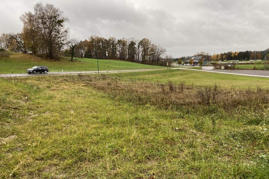 Mein Baugrund in Münzbach: nur mehr 1 Baugrund verfügbar-Neuer Preis!, Grund und Boden-kauf, 87.147,€, 4323 Perg