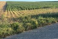 ACKERFLÄCHE IN PIXENDORF - ZUSAMMENHÄNGENDE LANDWIRTSCHAFTLICHE FLÄCHE