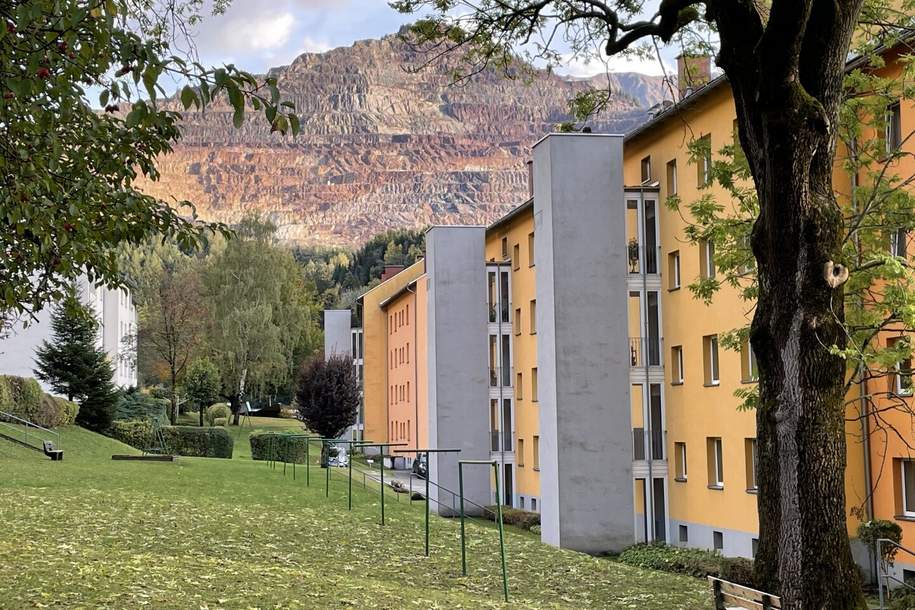 Einladende 3-Zimmerwohnung mit geräumigem Badezimmer!, Wohnung-miete, 585,59,€, 8790 Leoben