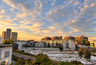 3 Terrassen - 4 Zimmer - dein Platz über Wien