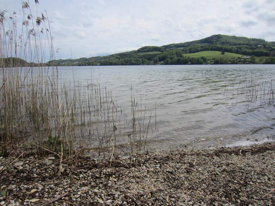 Neuwertige 2-Zimmer-Wohnung mit traumhaftem Seeblick &amp; Seezugang in Seeham