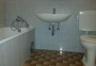 15427 Traisenpark inkl. Autoabstellplatz!