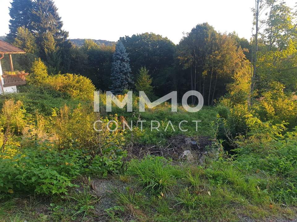 Nähe Wien! Ein guter Grund zum Bauen! Doppelhaus möglich