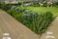 3430 Staasdorf Großzügiges Wohnhaus mit über 6000 m² Garten/Grünland in Bahnhofsnähe - mit Photovoltaik Anlage
