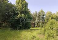 Ihre Gelegenheit! Grundstück in Traumlage mit Waldbestand!