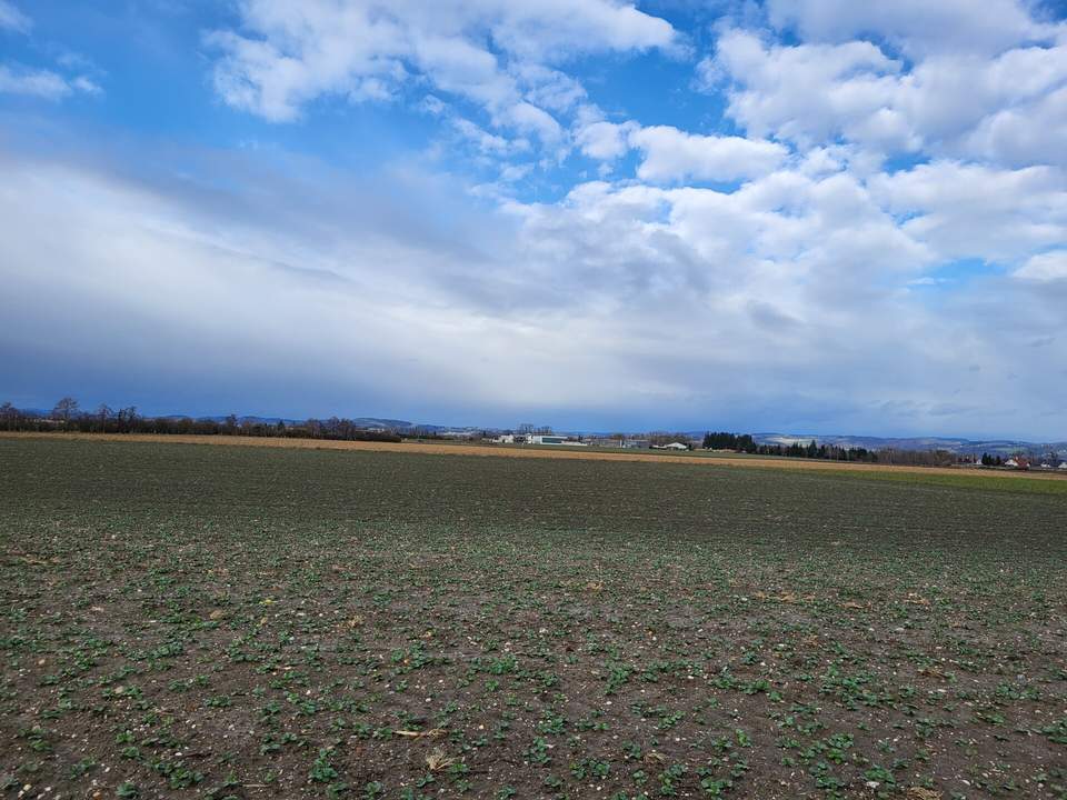 Landwirtschaftlicher Nutzgrund in Alkoven