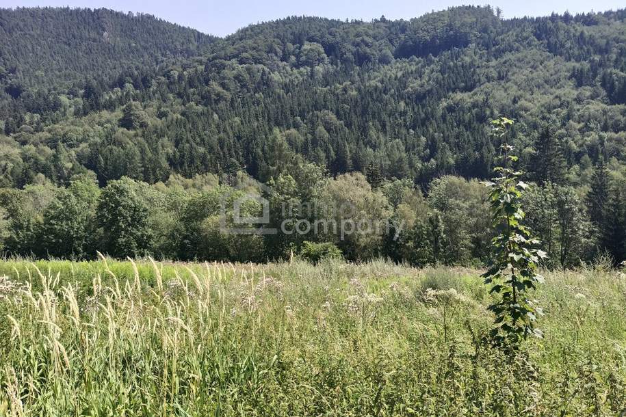 Ihr eigenes Grundstück am Semmering, Grund und Boden-kauf, 155.000,€, 2680 Neunkirchen