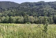 Ihr eigenes Grundstück am Semmering