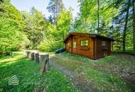 Exklusives Badeparadies am Wörthersee: Ihr privates Refugium mit Seezugang und Waldidylle