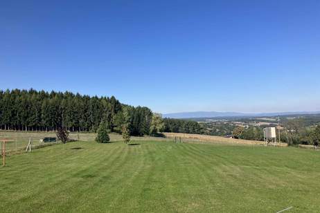 Skandinavisches Blockhaus mit Galerie, Kamin und großem Grundstück mit Fernblick, Haus-kauf, 690.000,€, 7534 Güssing