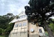 SÜDHANGLAGE AM WIENERWALD - baugenehmigtes Wohnprojekt mit traumhaftem Wienblick - oberes Haus