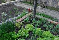 Selbstversorger Traum für die ganze Familie - Ruhige Lage und toller Fernblick!