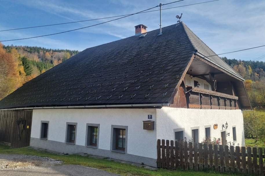 Wohnen im Dorf - ehemaliges Sacherl in ruhiger Dorflage, Haus-kauf, 349.000,€, 4182 Urfahr-Umgebung