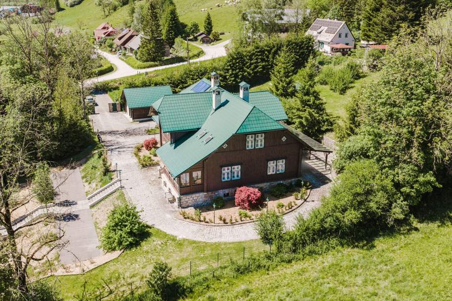 Exklusive Jahrhundertwende-Villa in Mariazell – Stil, Substanz & Natur in perfekter Harmonie, Haus-kauf, 1.290.000,€, 8630 Bruck-Mürzzuschlag
