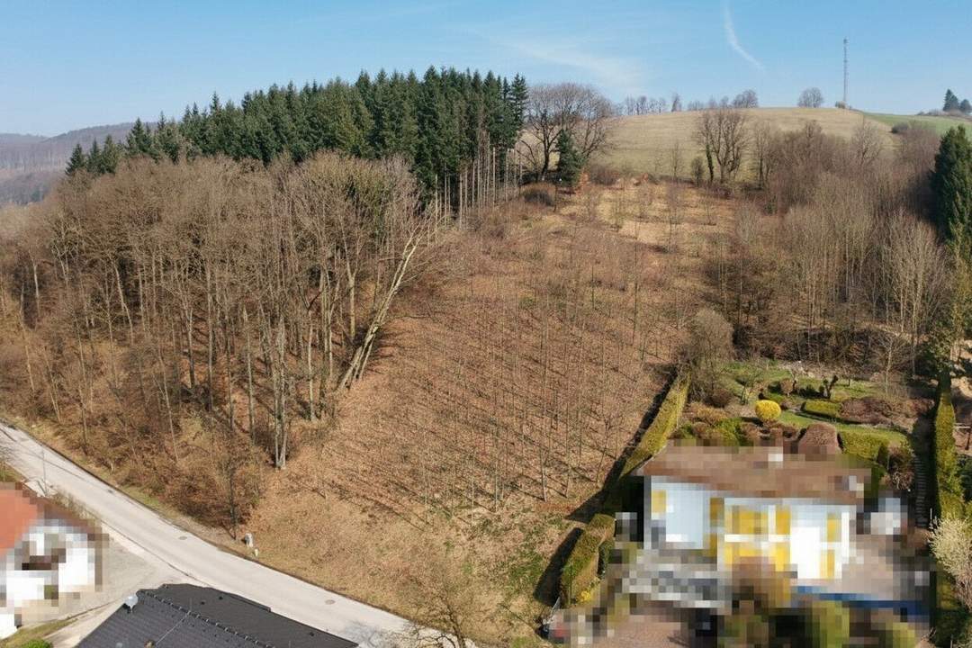 Sonniges Baugrundstück auf Südwest-Lage im Irenental