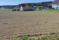 ++GEWERBEGRUNDSTÜCK ca. 20.0000 m² im GROßRAUM von GRAZ und LEIBNITZ++ PERFEKTE VORRAUSSETZUNGEN für BETRIEBSANSIEDLUNG gegeben++ BD 0,2 - 0,6++