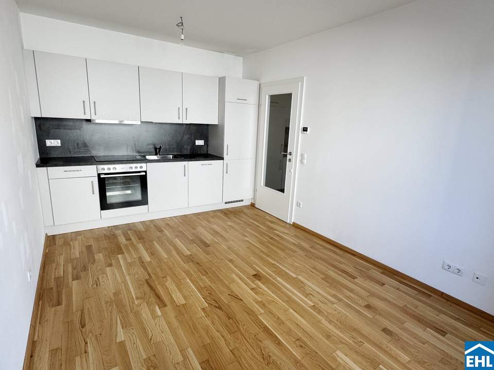 Moderne Innenstadtwohnung beim zentralen Stadtteil Gries
