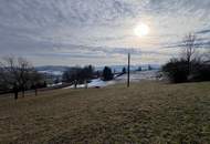 Baugrundstück an der Weinstraße zu verkaufen - unverbaubarer Ausblick!