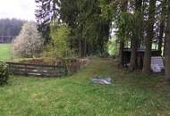 Landschaftsteich mit kleinem Waldanteil (Provisionsfrei)