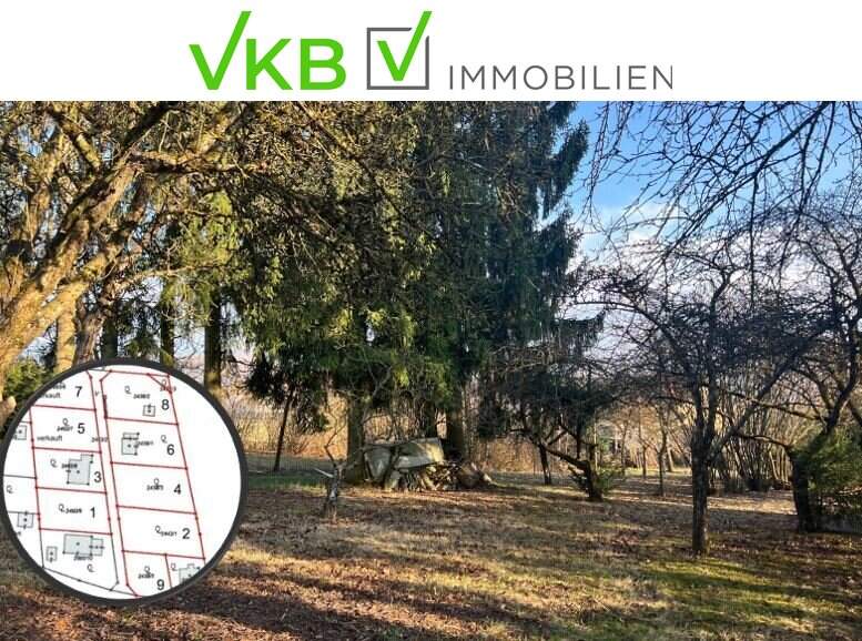 Großzügiges Grundstück in Spattendorf – Gemeinde Alberndorf in der Riedmark (GST 2438/3)