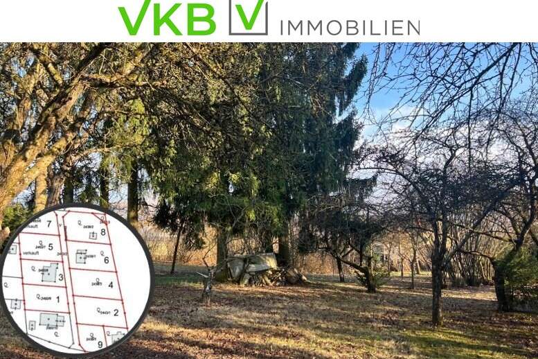 Großzügiges Grundstück in Spattendorf – Gemeinde Alberndorf in der Riedmark (GST 2438/3), Grund und Boden-kauf, 217.000,€, 4211 Urfahr-Umgebung