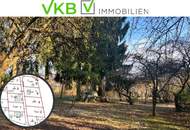 Großzügiges Grundstück in Spattendorf – Gemeinde Alberndorf in der Riedmark (GST 2438/3)