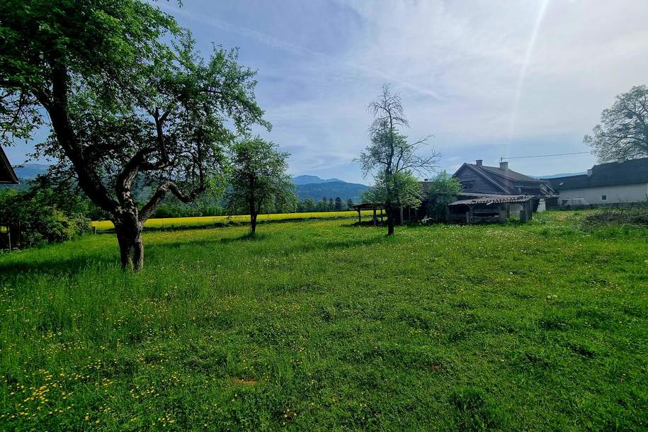 Großes Bauland Grundstück mit Altbestand, Haus-kauf, 180.000,€, 9800 Spittal an der Drau