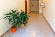 "Cool, Ruhe, Loggia inklusive"