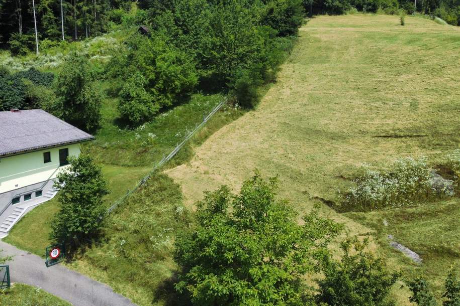 Sonniger Baugrund am Waldrand, Grund und Boden-kauf, 85.000,€, 9560 Feldkirchen