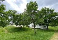 Traumhafte Ruhelage mit Panoramablick auf den Neusiedlersee (Provisionsfrei)