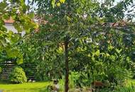 Gepflegtes Reihenhaus mit Garten und Carport zu mieten