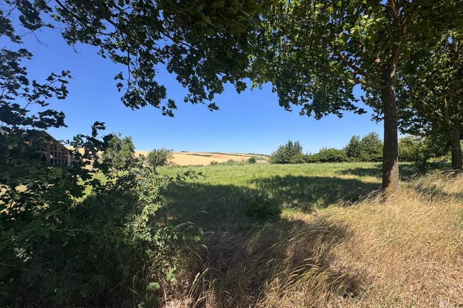 Großzügiges Baugrundstück 1487m² in 2126 Pürstendorf – Eigenheim nach Wunsch!, Grund und Boden-kauf, 190.000,€, 2126 Mistelbach