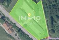 Lager-, Montage- u.o. Produktionshallen mit Freiflächen in Opponitz - Ybbstal