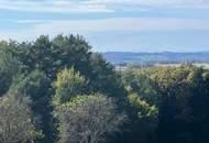 Sonniges Grundstück mit Bauland und landwirtschaftlichen Flächen ohne Bauzwang im SÜDBURGENLAND