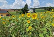 1.353 m2 Baugrund in erhöhter Lage