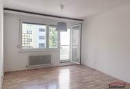 DIREKT AN DER ALTEN DONAU - Helle 3-Zimmerwohnung mit sehr guter Raumaufteilung und Loggia