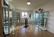 Modernisiertes Ein- bis Zweifamilienhaus auf großzügigem Grund in sonniger Lage in Werndorf!