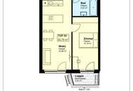 Sehr sonnige neue Top-Wohnung nahe der Alten Donau