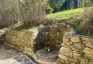 Gartenwohnung 7 Zimmer mit Pool im Apfelgarten - - 5 bedroom apartment 15 km from Vienna