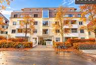 RATHAUS | TOPLAGE | LOGGIA | NEUBAU