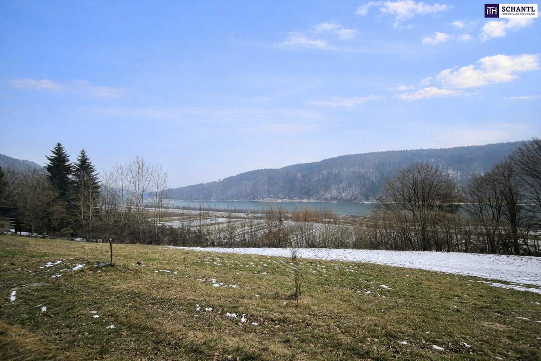 Seltenes Baugrundstück mit genialem Donau-Blick in ruhiger Lage: 2.168 m² für großzügiges Eigenheim, Mehrgenerationenwohnen oder Wohnen &amp; Arbeiten auf einem Grundstück!