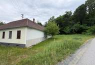 Sanierungsbedürftiger Vierkanthof in ruhiger Ortsrandlage! 6.100 m² Grundstück mit 4.100 m² Bauland & Platz für Tierhaltung